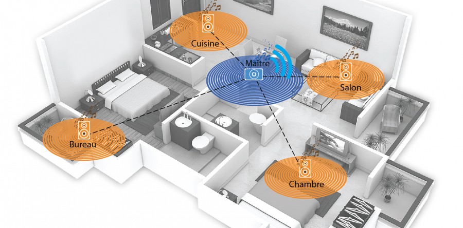 Ils obéissent au doigt!